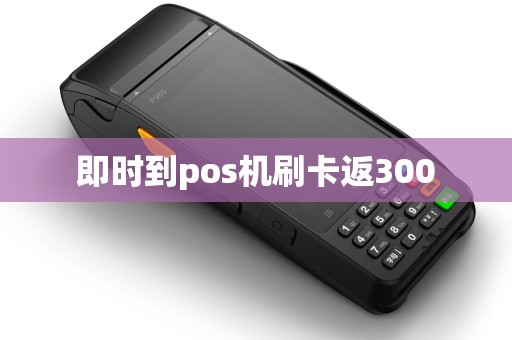 即时到pos机刷卡返300