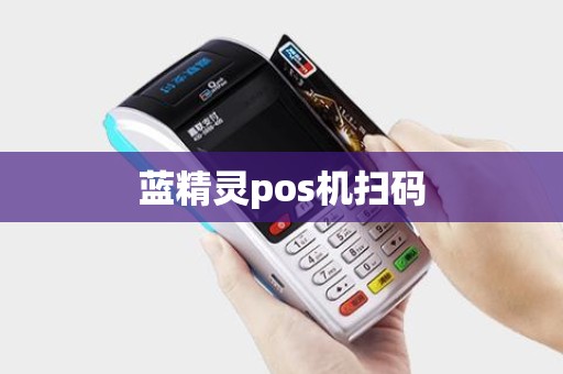 蓝精灵pos机扫码