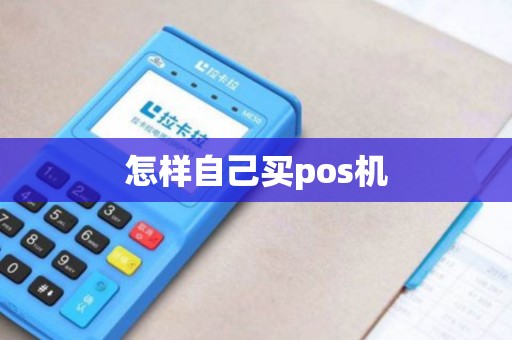 怎样自己买pos机