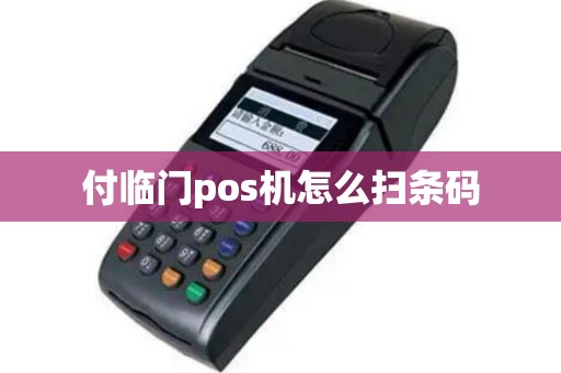 付临门pos机怎么扫条码