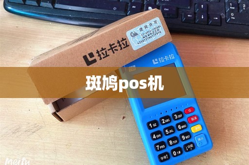 斑鸠pos机