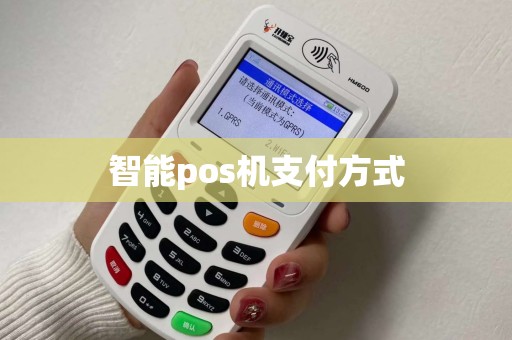 智能pos机支付方式