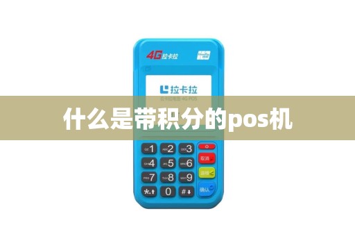 什么是带积分的pos机
