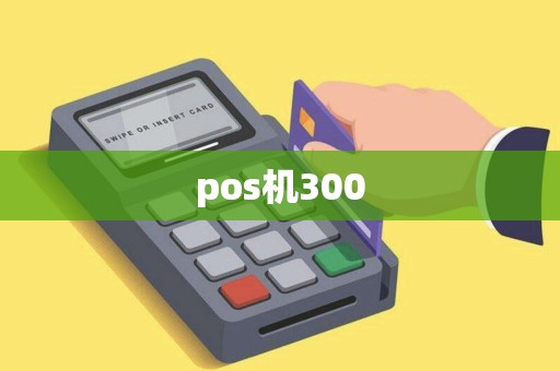 pos机300