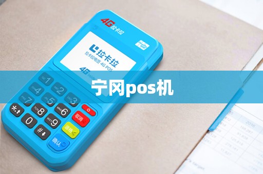 宁冈pos机