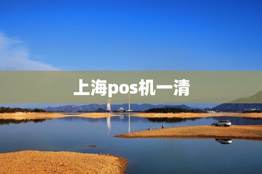 上海pos机一清