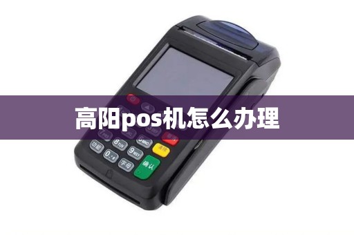 高阳pos机怎么办理