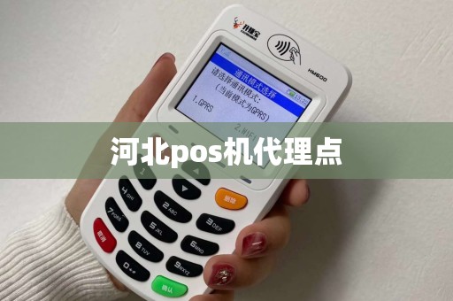 河北pos机代理点