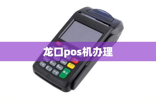 龙口pos机办理