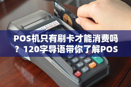 POS机只有刷卡才能消费吗？120字导语带你了解POS机的多样支付方式
