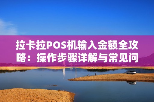 拉卡拉POS机输入金额全攻略：操作步骤详解与常见问题解答