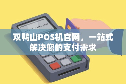双鸭山POS机官网，一站式解决您的支付需求