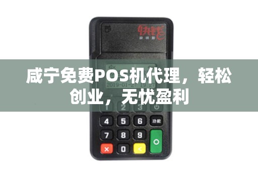 咸宁免费POS机代理，轻松创业，无忧盈利