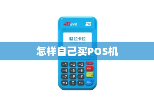 怎样自己买POS机