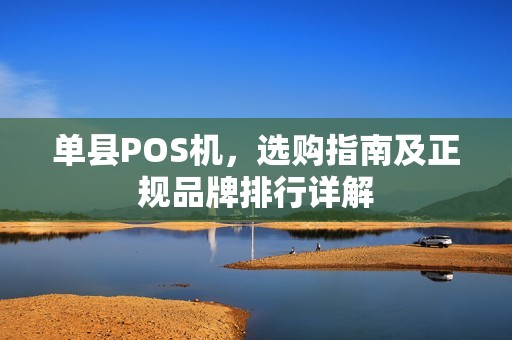 单县POS机，选购指南及正规品牌排行详解
