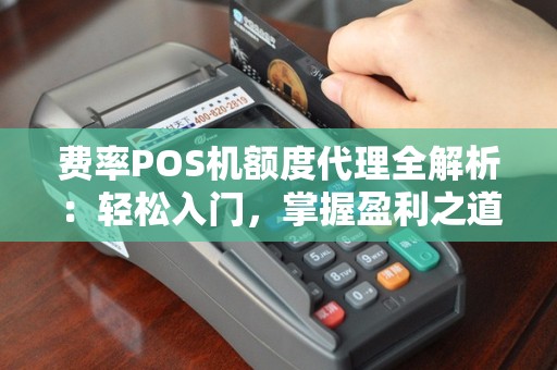 费率POS机额度代理全解析：轻松入门，掌握盈利之道