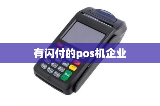 有闪付的pos机企业