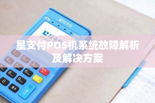 星支付POS机系统故障解析及解决方案