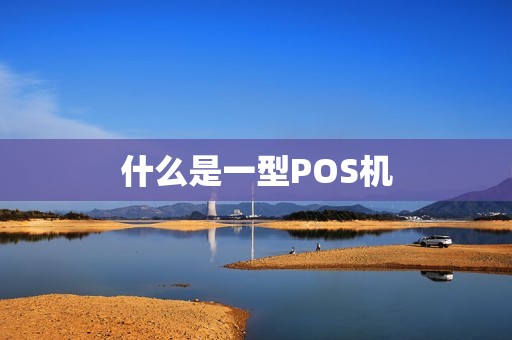 什么是一型POS机