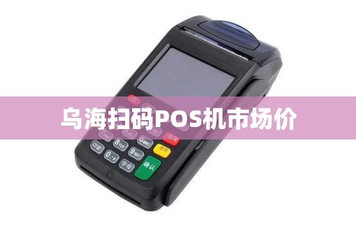 乌海扫码POS机市场价