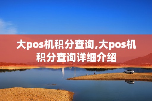 大pos机积分查询,大pos机积分查询详细介绍