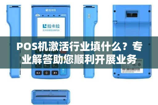 POS机激活行业填什么？专业解答助您顺利开展业务