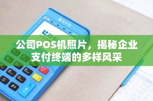 公司POS机照片，揭秘企业支付终端的多样风采
