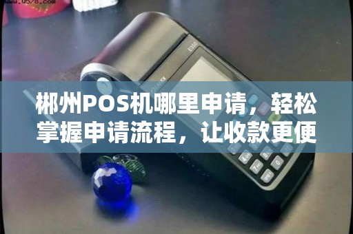 郴州POS机哪里申请，轻松掌握申请流程，让收款更便捷