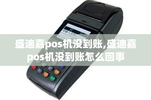 盛迪嘉pos机没到账,盛迪嘉pos机没到账怎么回事