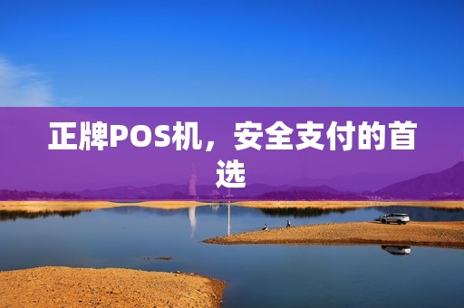 正牌POS机，安全支付的首选