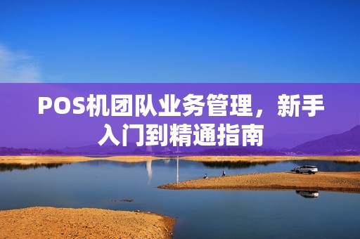 POS机团队业务管理，新手入门到精通指南