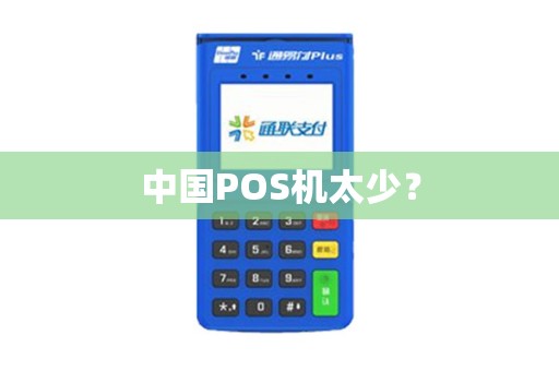中国POS机太少？