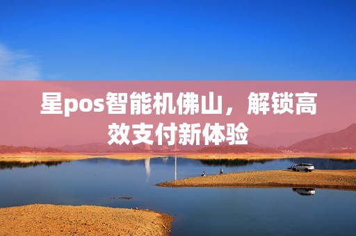 星pos智能机佛山，解锁高效支付新体验