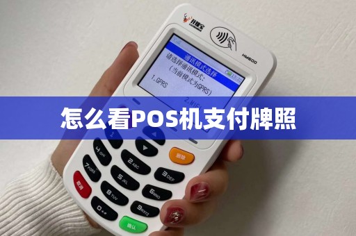 怎么看POS机支付牌照