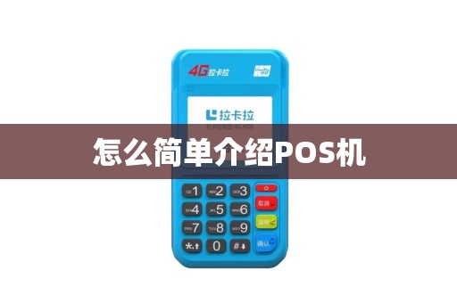 怎么简单介绍POS机