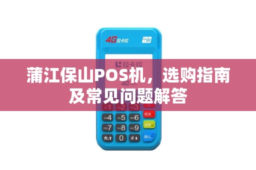 蒲江保山POS机，选购指南及常见问题解答