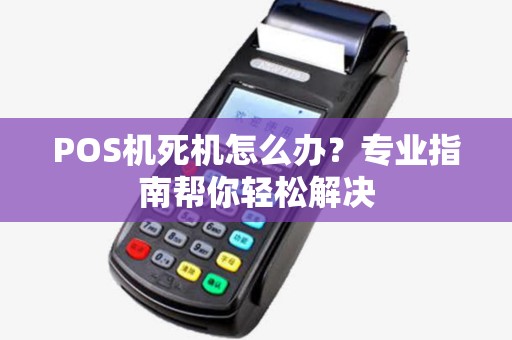 POS机死机怎么办？专业指南帮你轻松解决