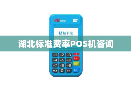湖北标准费率POS机咨询