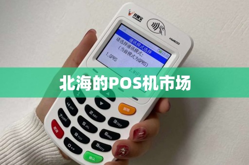 北海的POS机市场