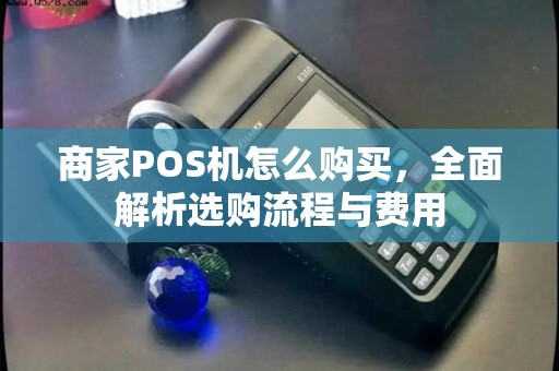 商家POS机怎么购买，全面解析选购流程与费用