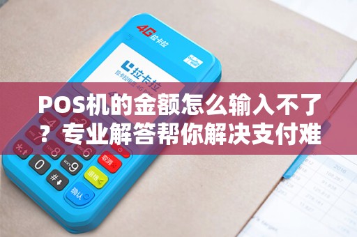 POS机的金额怎么输入不了？专业解答帮你解决支付难题