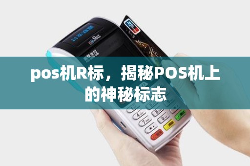 pos机R标，揭秘POS机上的神秘标志