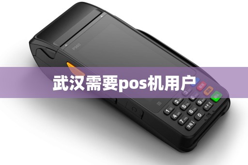 武汉需要pos机用户