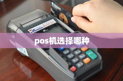 pos机选择哪种