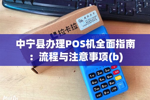 中宁县办理POS机全面指南：流程与注意事项(b)