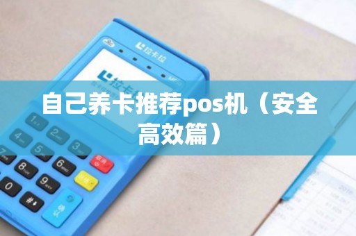 自己养卡推荐pos机（安全高效篇）