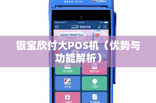银宝欣付大POS机（优势与功能解析）