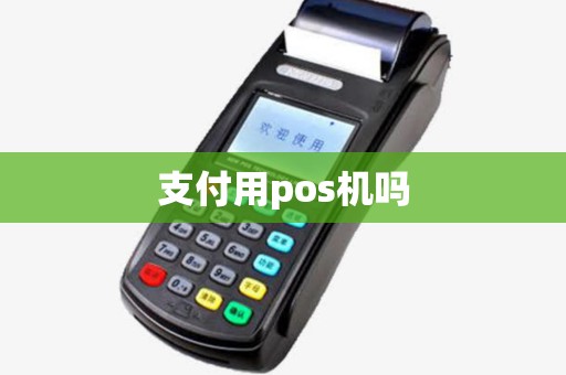支付用pos机吗
