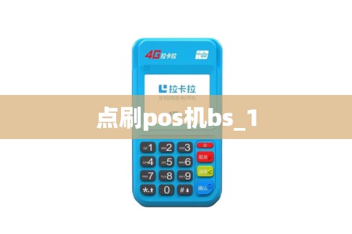 点刷pos机bs_1