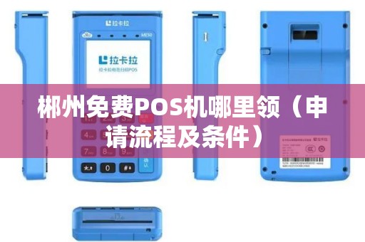 郴州免费POS机哪里领（申请流程及条件）